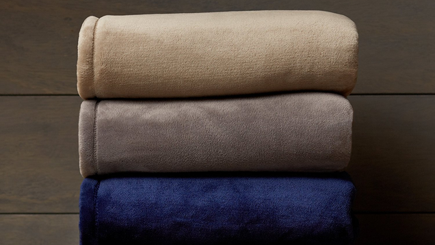 Pinzon Velvet Plush Throw Blanket, 50" x 60", Chocolate | $10 | AmazonPinzon Velvet Plush Blanket - Full/Queen, Aubergine | $16 | AmazonPinzon Velvet Plush Blanket - Full/Queen, Grey | $21 | AmazonPinzon Velvet Plush Blanket - King, Ivory | $22 | Amazon